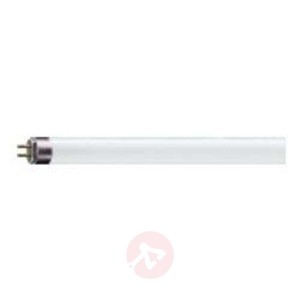 G13 T8 świetlówka MASTER TL-D Super 18W-827
