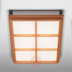 Prostokątna lampa ścienno-sufitowa KIOTO 6