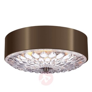 Imponująca lampa sufitowa Botanic