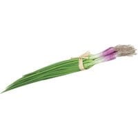 Dekoracja Garlic Shoots