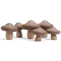 Zestaw 6 magnesów Shiitake Mushrooms