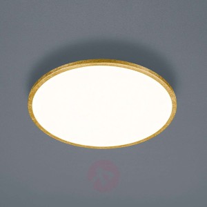 Helestra Rack lampa sufitowa LED okrągła złota