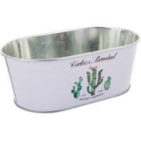 Żardiniera Succulent