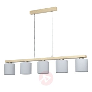 Lampa wisząca Castralvo z pięcioma kloszami