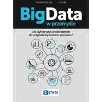 Big Data w przemyśle
