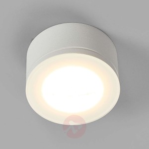 Wewnątrz i zewnątrz - spot sufitowy LED Newton 35